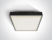 PIRNARI EA griestu lampa 2x12W E27 IP65 antracīta krāsā