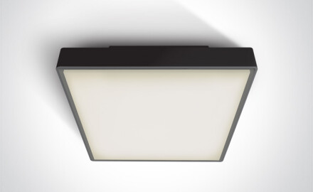 PIRNARI EA griestu lampa 2x12W E27 IP65 antracīta krāsā