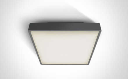 PIRNARI EA griestu lampa 2x12W E27 IP65 balta