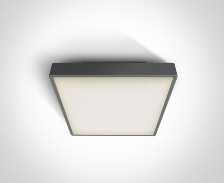PIRNARI EA griestu lampa 2x12W E27 IP65 balta