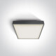 PIRNARI EA griestu lampa 2x12W E27 IP65 balta #1