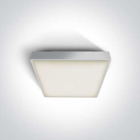 PIRNARI E griestu lampa 12 W E27 IP65 pelēka #1