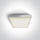PIRNARI E griestu lampa 12 W E27 IP65 pelēka #1