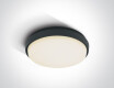 PIRNARI N griestu lampa 16 W 3000 K IP65 balta