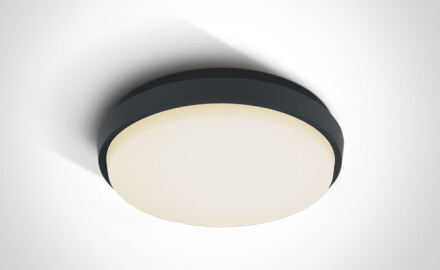 PIRNARI N griestu lampa 16 W 3000 K IP65 balta