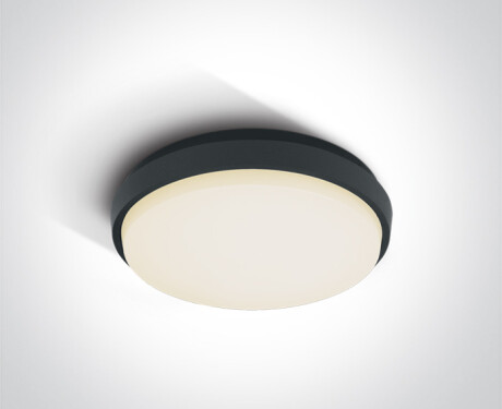 PIRNARI N griestu lampa 16 W 3000 K IP65 balta