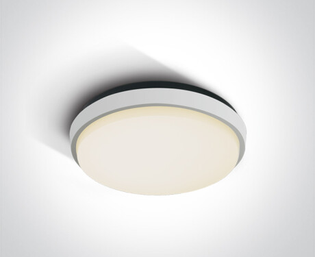 FASIDERI griestu lampa 20 W, 3000 K, IP54, antracīta krāsā