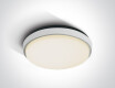 FASIDERI 2 griestu lampa 30 W 3000 K IP54 antracīta krāsā