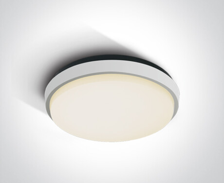 FASIDERI 2 griestu lampa 30 W 3000 K IP54 antracīta krāsā