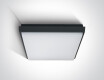 FASIDERI 2 griestu lampa 30 W 3000 K IP54 balta