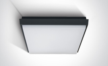 FASIDERI 2 griestu lampa 30 W 3000 K IP54 balta