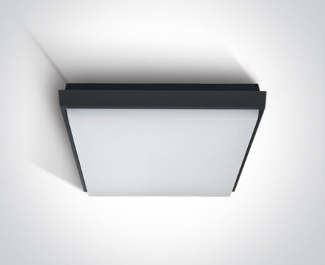 FASIDERI 2 griestu lampa 30 W 3000 K IP54 balta