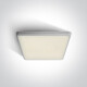 LIVISI griestu lampa 25 W, 4000 K, IP54, balta #1