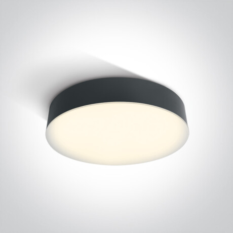 PASIO griestu lampa 30 W, 3000 K, IP54, balta #1