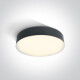 PASIO griestu lampa 30 W, 3000 K, IP54, balta #1