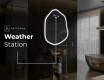 Neregulārais spogulis ar LED apgaismojumu, dekoratīvs dizains E223 #8